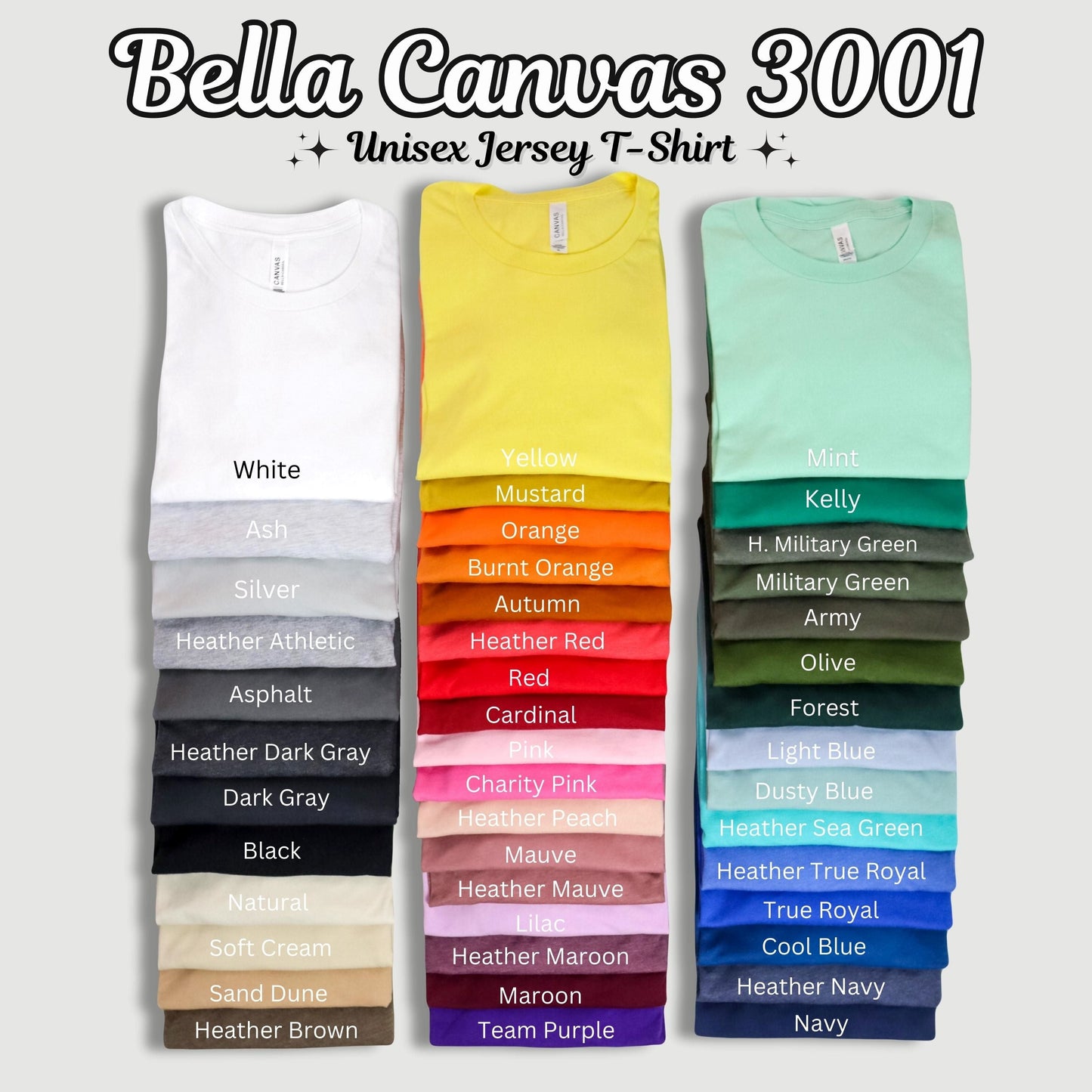 Teacher T-Shirt | Perfect Teacher Gift Under $25 | Bella Canvas Tee